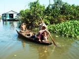Tonlé Sap la forêt inondée de Kompong Phluk